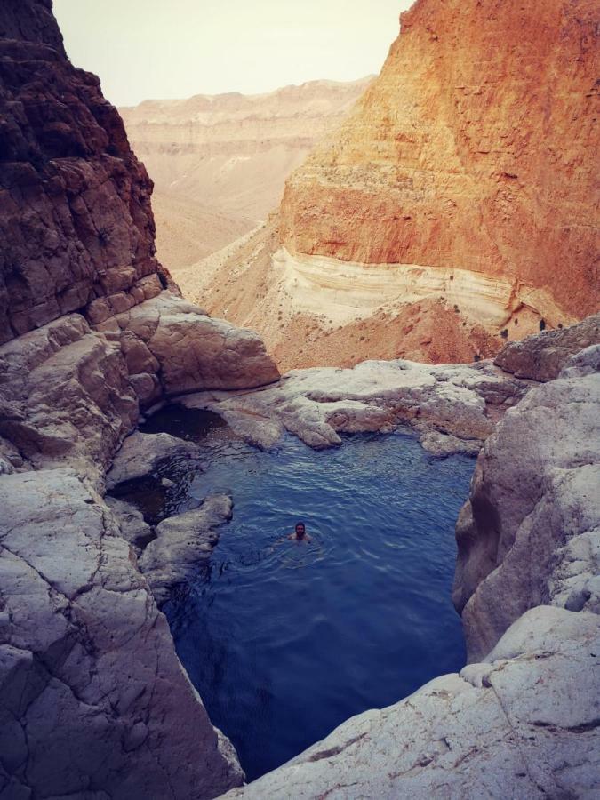 Dead Sea Desert'S Edge Arad Eksteriør bilde